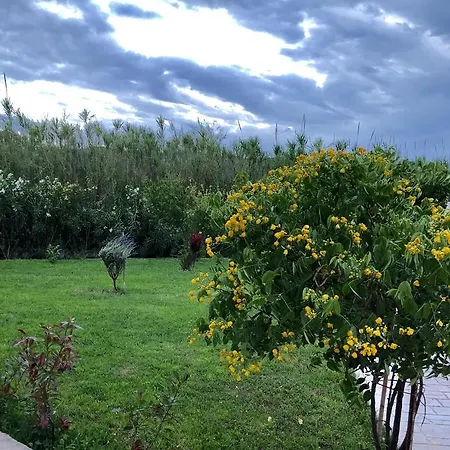 Aligis Hotel apartamentowy Kateleios